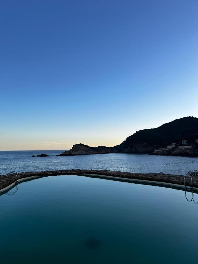 Cap Sa Sal Suites -Apartament Begur - Costa Brava Eksteriør billede